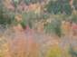 Preview of:
conway02.jpg
800 x 600 compressed image
(134,255 bytes)