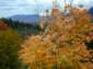 Preview of:
conway06.jpg
800 x 600 compressed image
(122,505 bytes)