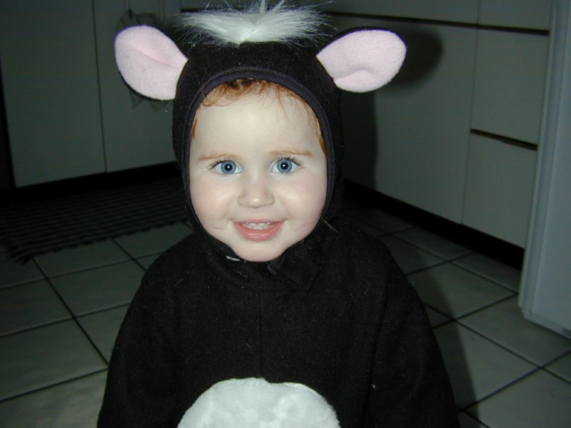 halloween1.jpg 
800 x 600 compressed image 
(53,836 bytes)
