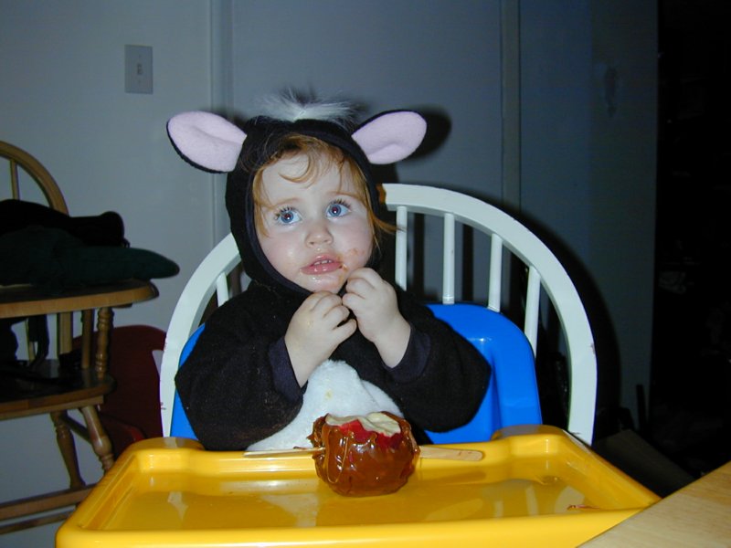 halloween3.jpg 
800 x 600 compressed image 
(61,654 bytes)
