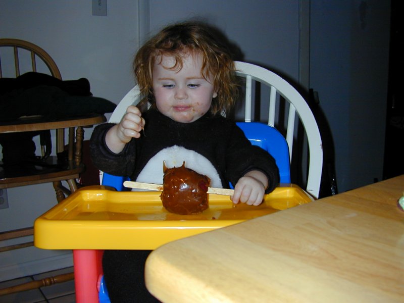 halloween4.jpg 
800 x 600 compressed image 
(62,252 bytes)