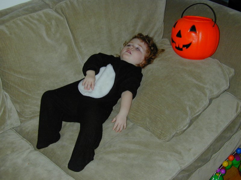 halloween7.jpg 
800 x 600 compressed image 
(66,155 bytes)