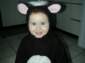Preview of: 
halloween1.jpg 
800 x 600 compressed image 
(53,836 bytes)