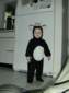 Preview of: 
halloween2.jpg 
450 x 600 compressed image 
(35,294 bytes)