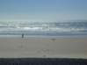 Preview of: 
oregon-aug03.jpg 
800 x 600 compressed image 
(70,312 bytes)