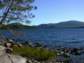Preview of: 
downeast18.jpg 
800 x 600 compressed image 
(120,481 bytes)