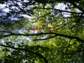 Preview of: 
downeast19.jpg 
800 x 600 compressed image 
(202,987 bytes)