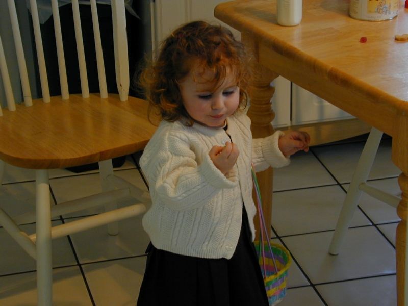 easter10.jpg 
800 x 600 JPEG-compressed image 
(316,231 bytes)