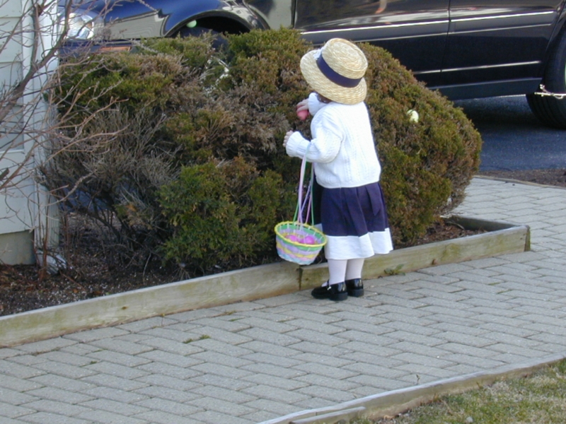 easter12.jpg 
800 x 600 JPEG-compressed image 
(396,754 bytes)
