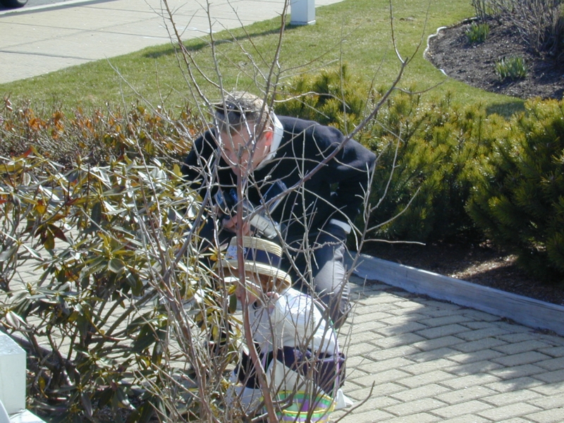 easter14.jpg 
800 x 600 JPEG-compressed image 
(500,830 bytes)