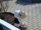 Preview of:
easter13.jpg
800 x 600 JPEG-compressed image
(438,019 bytes)