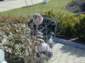 Preview of:
easter14.jpg
800 x 600 JPEG-compressed image
(500,830 bytes)