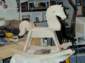 Preview of:
rockinghorse08.jpg
800 x 600 JPEG-compressed image
(368,224 bytes)