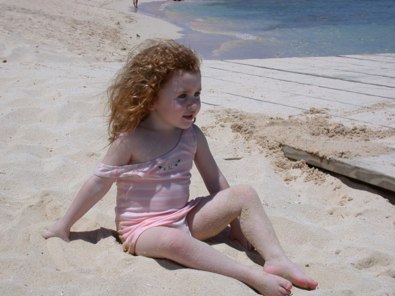 caymans01.jpg 
800 x 600 JPEG-compressed image 
(382,448 bytes)