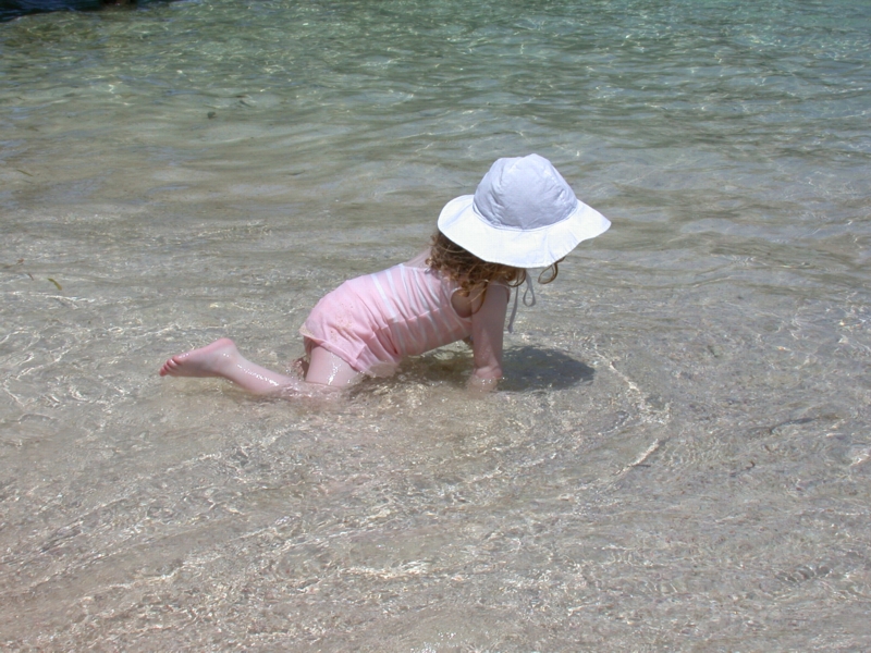 caymans03.jpg 
800 x 600 JPEG-compressed image 
(421,833 bytes)