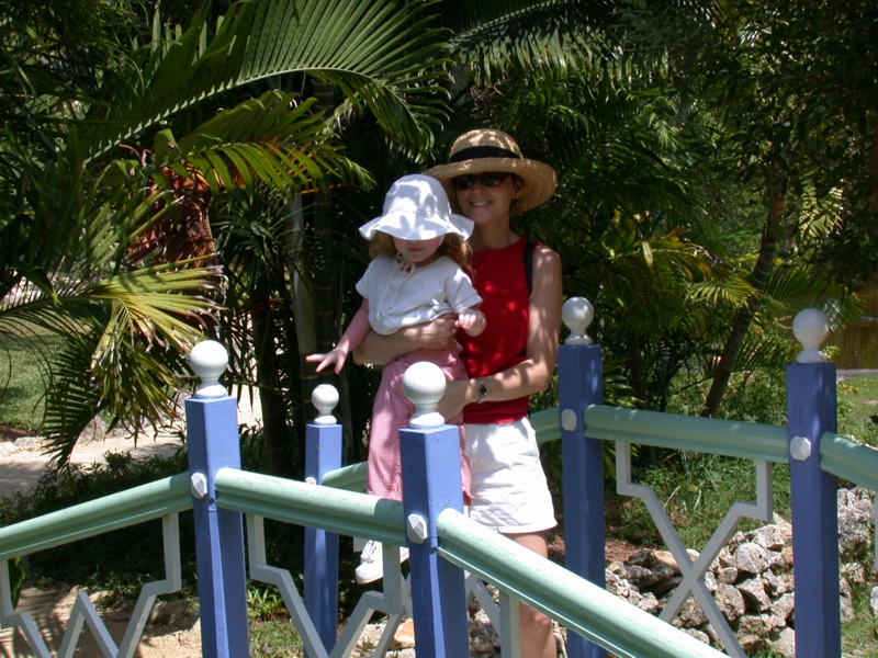 caymans08.jpg 
800 x 600 JPEG-compressed image 
(480,662 bytes)