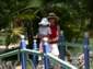 Preview of: 
caymans08.jpg 
800 x 600 JPEG-compressed image 
(480,662 bytes)