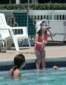 Preview of: 
caymans14.jpg 
468 x 600 JPEG-compressed image 
(216,347 bytes)
