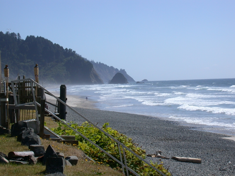 oregon10.jpg 
800 x 600 JPEG-compressed image 
(365,529 bytes)