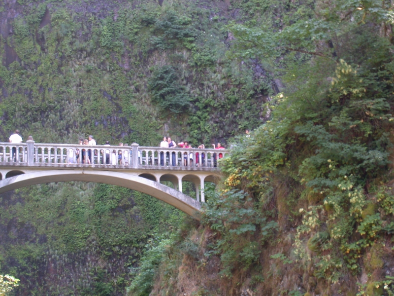 oregon19.jpg 
800 x 600 JPEG-compressed image 
(453,239 bytes)