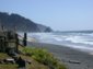 Preview of: 
oregon10.jpg 
800 x 600 JPEG-compressed image 
(365,529 bytes)