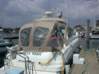 Preview of:
cruisesouth01.jpg
800 x 600 compressed image
(90,771 bytes)