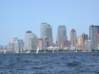 Preview of: 
cruisesouth35.jpg 
800 x 600 compressed image 
(76,941 bytes)