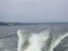 Preview of:
cruisesouth47.jpg
800 x 600 compressed image
(64,024 bytes)