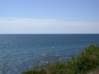 Preview of:
cruisesouth62.jpg
800 x 600 compressed image
(79,030 bytes)