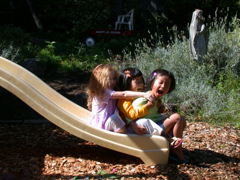 Oregon-Sept33.jpg 
800 x 600 compressed image 
(132,110 bytes)