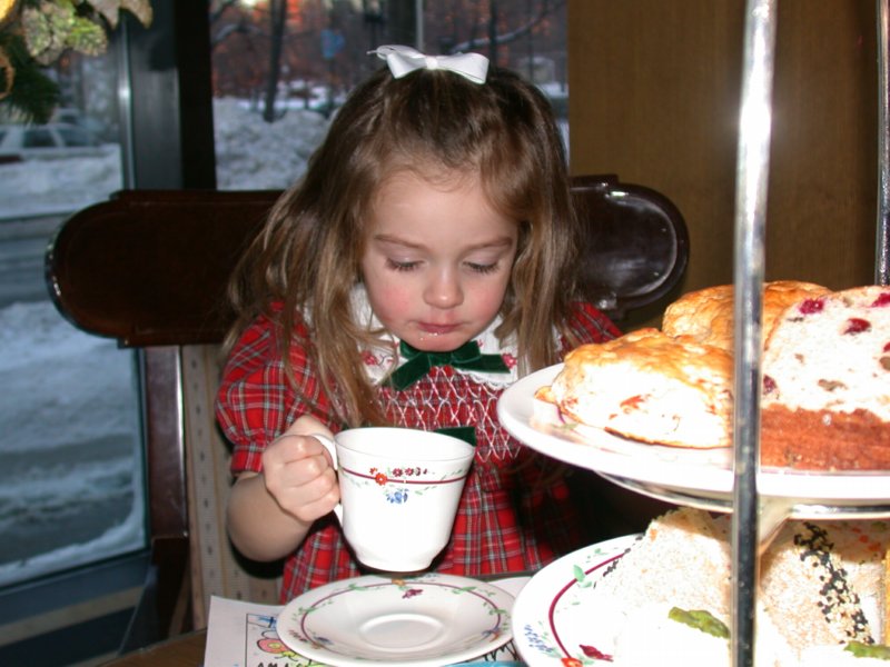 teddybeartea12.jpg 
800 x 600 compressed image 
(85,792 bytes)