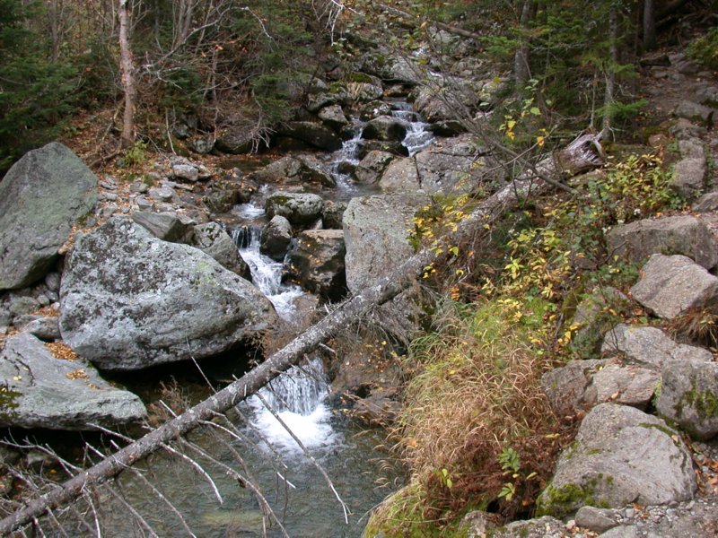 camping10.jpg 
800 x 600 compressed image 
(174,637 bytes)