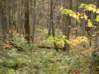 Preview of:
camping08.jpg
800 x 600 compressed image
(171,916 bytes)