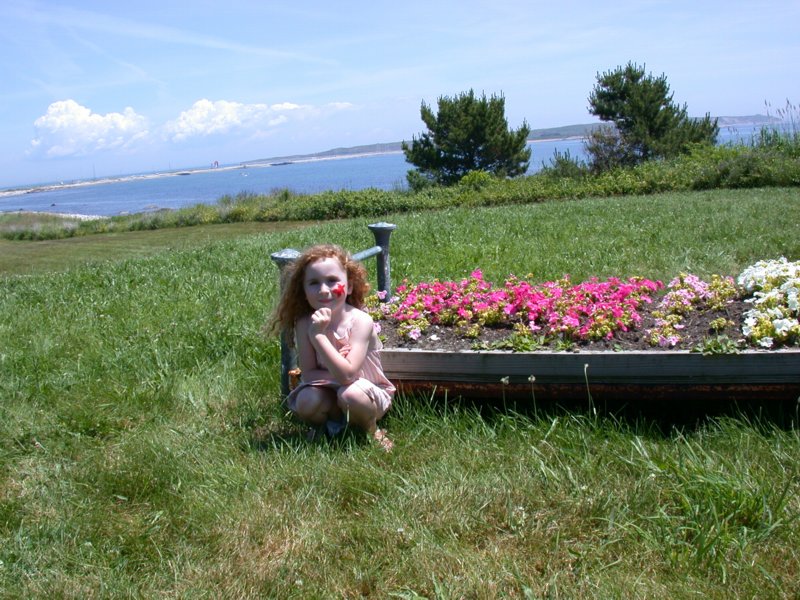 cruisingthecape12.jpg 
800 x 600 compressed image 
(141,564 bytes)