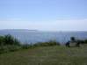 Preview of:
cruisingthecape05.jpg
800 x 600 compressed image
(83,906 bytes)