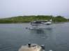 Preview of:
cruisingthecape09.jpg
800 x 600 compressed image
(68,429 bytes)