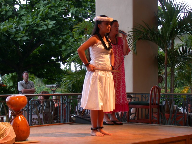 hawaii31.jpg 
800 x 600 compressed image 
(111,734 bytes)
