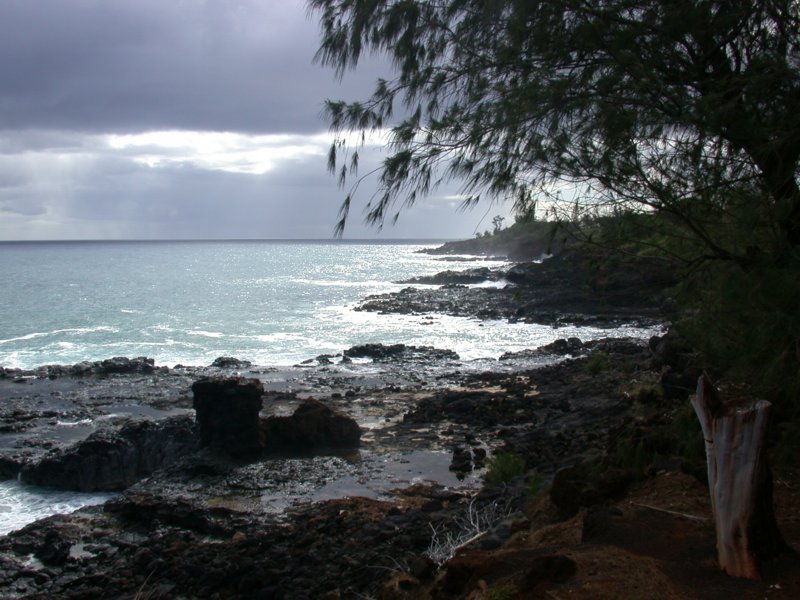 hawaii32.jpg 
800 x 600 compressed image 
(104,491 bytes)