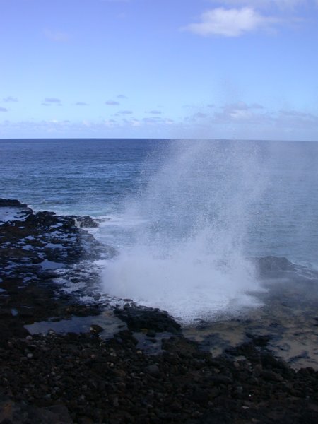 hawaii33.jpg 
450 x 600 compressed image 
(39,171 bytes)
