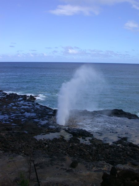 hawaii34.jpg 
450 x 600 compressed image 
(40,478 bytes)