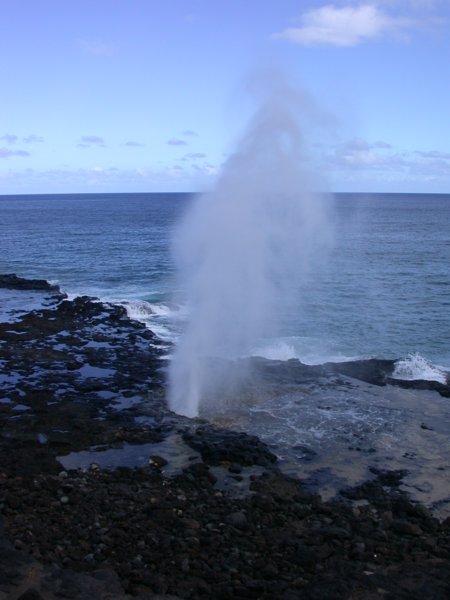 hawaii35.jpg 
450 x 600 compressed image 
(40,595 bytes)