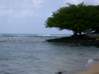 Preview of: 
hawaii09.jpg 
800 x 600 compressed image 
(85,717 bytes)
