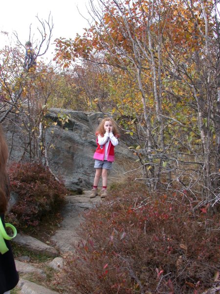 monadnock01.jpg 
450 x 600 compressed image 
(98,041 bytes)