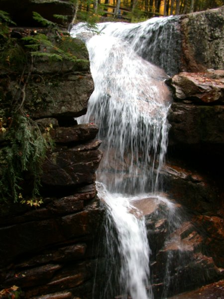 monadnock11.jpg 
450 x 600 compressed image 
(62,528 bytes)
