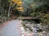 Preview of:
monadnock07.jpg
800 x 600 compressed image
(169,587 bytes)