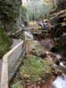Preview of:
monadnock09.jpg
450 x 600 compressed image
(99,412 bytes)
