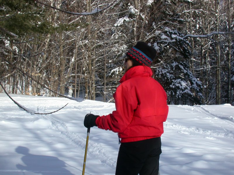 vermontski03.jpg 
800 x 600 compressed image 
(135,611 bytes)