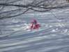 Preview of: 
vermontski05.jpg 
800 x 600 compressed image 
(95,982 bytes)